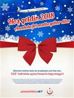 Anadolu Jet Yeni Yıl_Ek_39102780.jpg